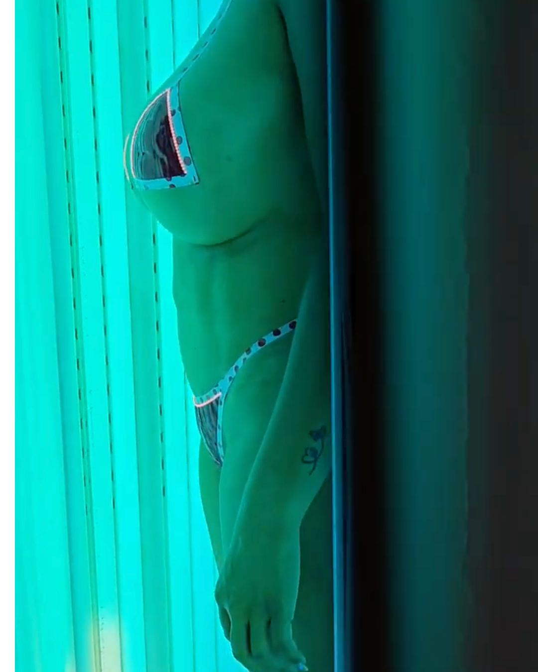 Cabina Piel Canela